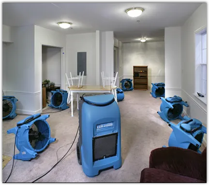 Contents Cleaning & Restoration in Fairfield Plantation, GA