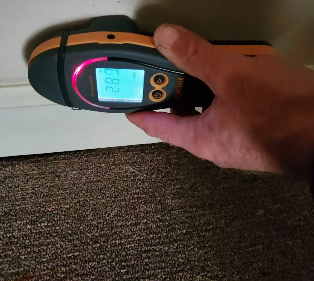 Moisture detection at baseboard during Sewage Cleanup & Sanitation in Fairfield Plantation